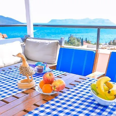 Ozy Center Appartement